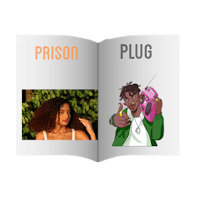 a book with the words prison and plug on it